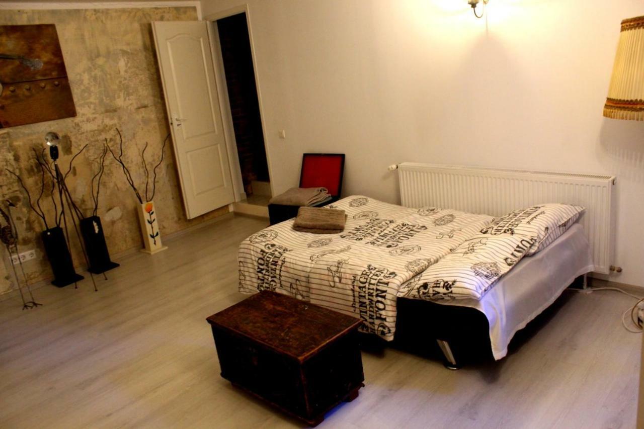 Mansion Josephina Apartment Cluj-Napoca Luaran gambar